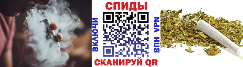сколько стоит  Ясный  БУТИРАТ буратино 
