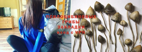 прущая мука Армянск