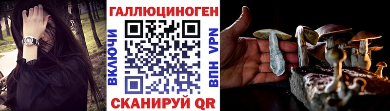 MEGA вход Ясный Псилоцибиновые грибы MAGIC MUSHROOMS где купить